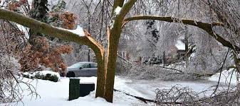 Weathering the storm